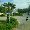 mohamed.filali40