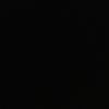 dion_7373