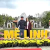 thaodong977