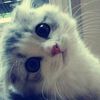 _chachiiii0