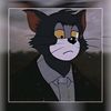 tzy2_75