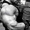 uk.muscle