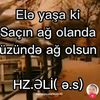 user8859317814525