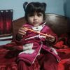 amir.zia228