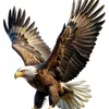 wild_aguila