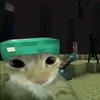 levzkx1