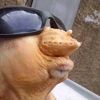 mirtha.siray