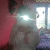 dinda07162012