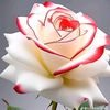 khin74125