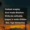 hasaal.m.m.027
