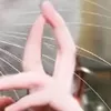 My Sói_🫰