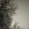 winterfrosty4