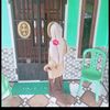 user296174153865