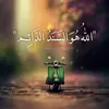 user2991190181811
