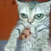 sophiaoficial669
