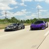 Killer Collection