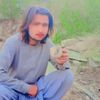 alanoor507