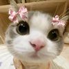 kokobaby1593