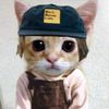 cjay110_4