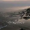es_jm13