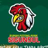 rpa.sigundul