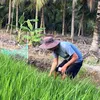 Anh Nông Dân 83 🌾🌾🌾
