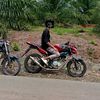 pratamax254