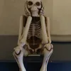 plasmakik2