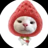 baongocne566