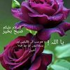 user843446167802