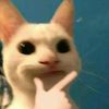 cahspenma