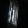 pereira_tiktok22