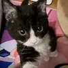 baw_du.0