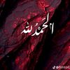 user4242019519046