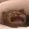thuyeudau4