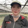 phambang365