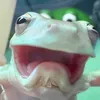 jejdjdndnds