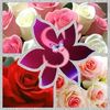 user61273360290