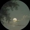 nikasss547
