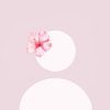 hedaya_khaled09