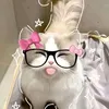 maximita_1861
