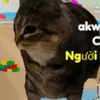 illbwatchinu
