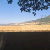muhittin8255