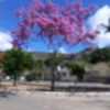 user40034552212160