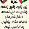 malhylh287