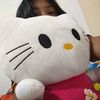 vane_201333