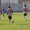 lauti_milone
