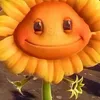 scurrynenn
