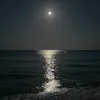 user3019675650682
