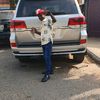 foli boi